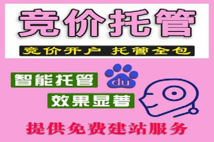 成功SEM托管案例分享：品牌增长之道